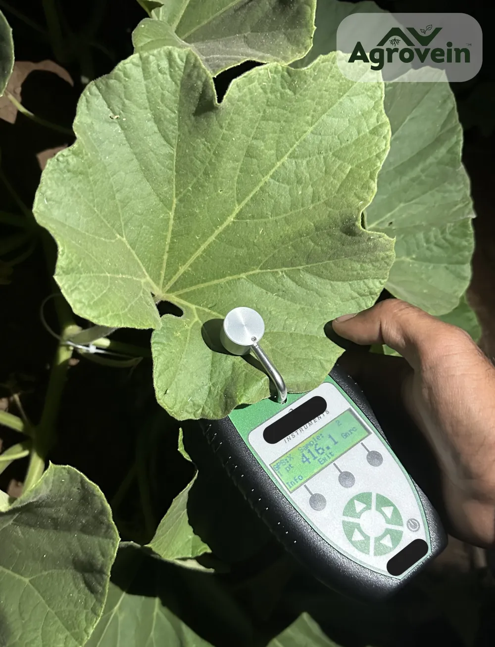 Agrovein Solutions Blog Images